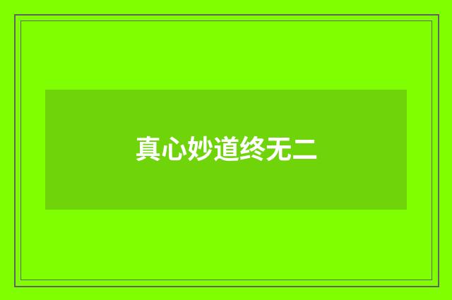 真心妙道终无二