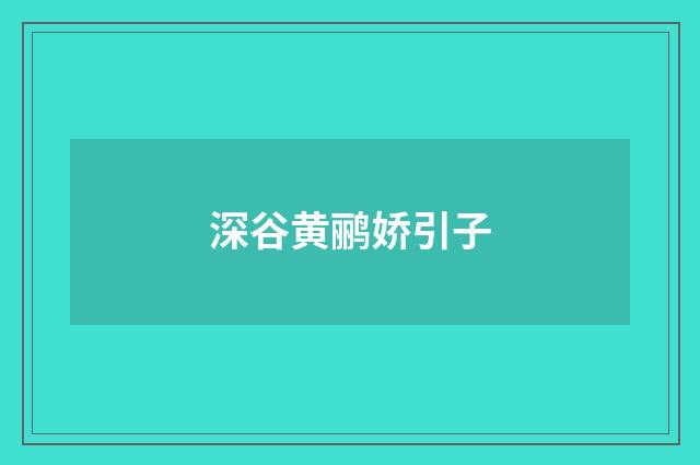 深谷黄鹂娇引子
