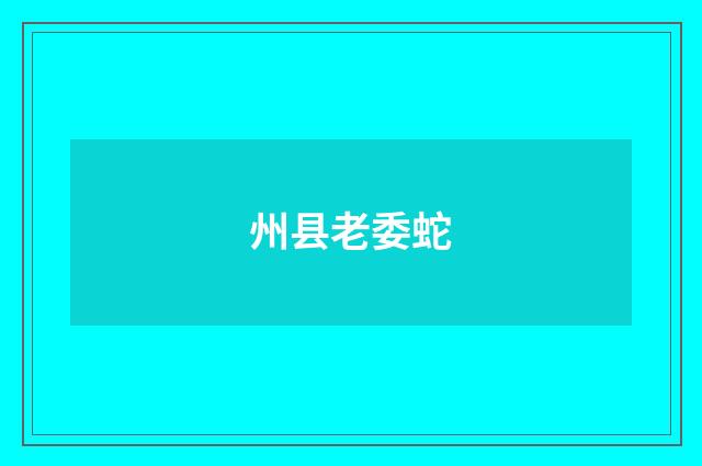 州县老委蛇