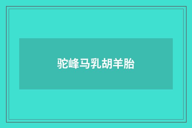 驼峰马乳胡羊胎