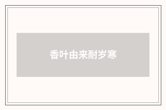 香叶由来耐岁寒