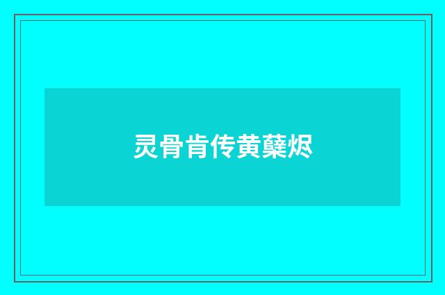 灵骨肯传黄蘖烬