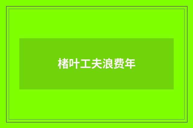 楮叶工夫浪费年
