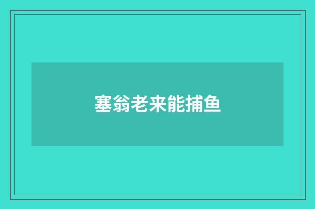 塞翁老来能捕鱼