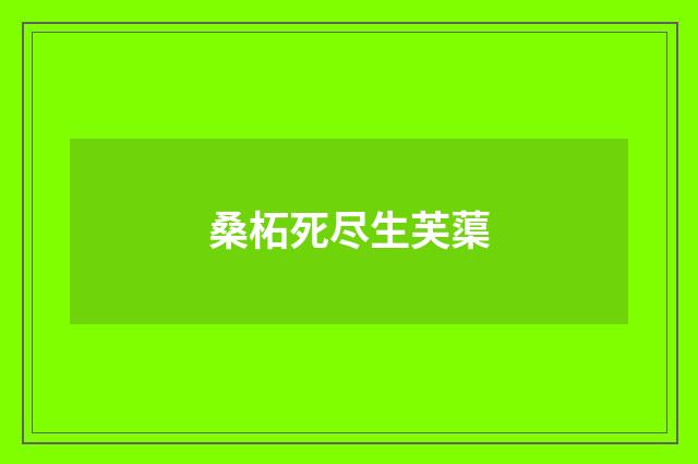 桑柘死尽生芙蕖