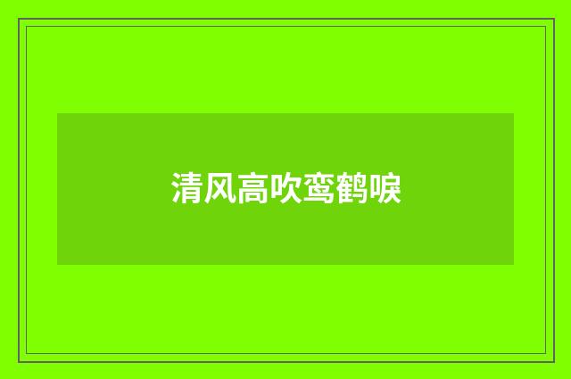清风高吹鸾鹤唳