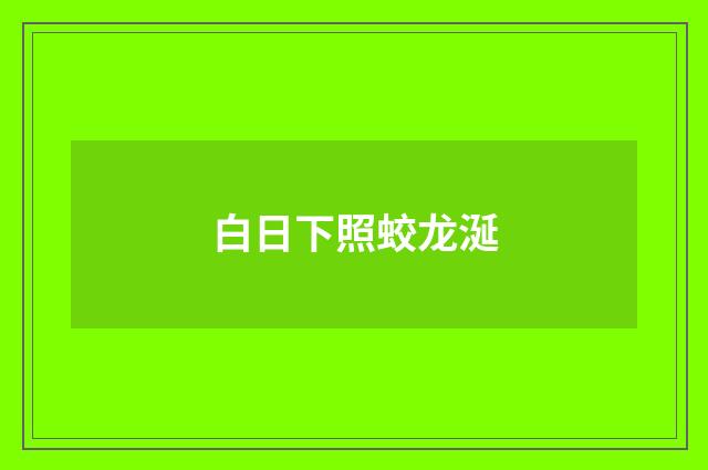 白日下照蛟龙涎