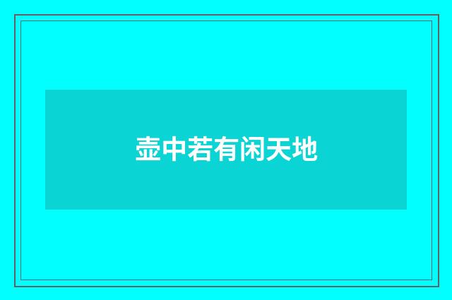 壶中若有闲天地