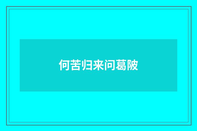何苦归来问葛陂