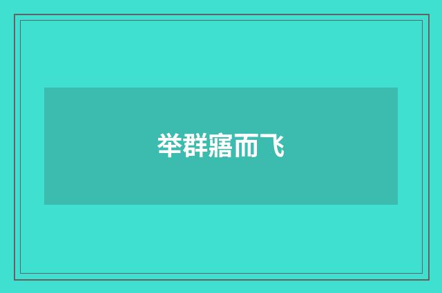 举群寤而飞