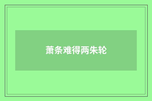 萧条难得两朱轮