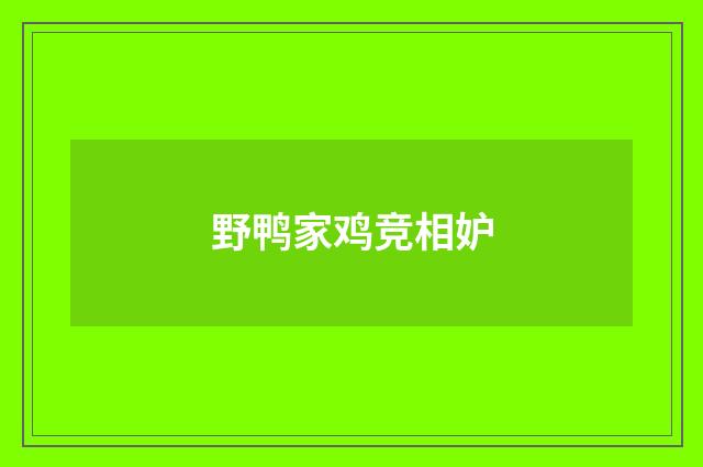 野鸭家鸡竞相妒