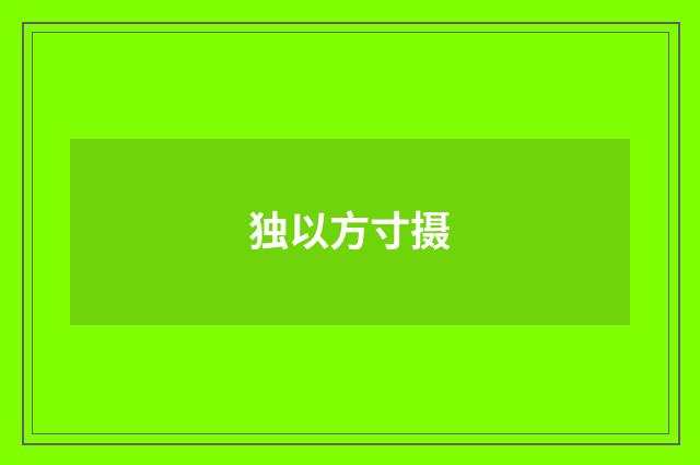 独以方寸摄