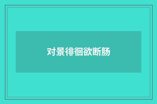 对景徘徊欲断肠