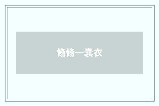 翛翛一囊衣