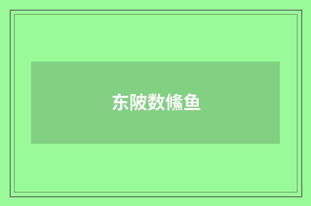 东陂数鯈鱼