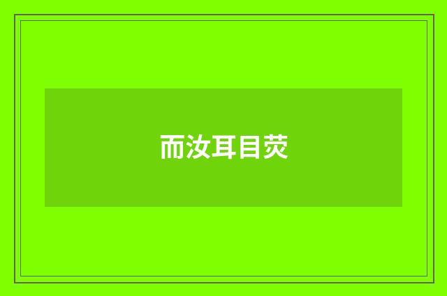而汝耳目荧