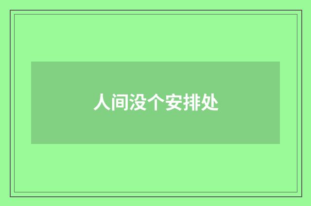 人间没个安排处