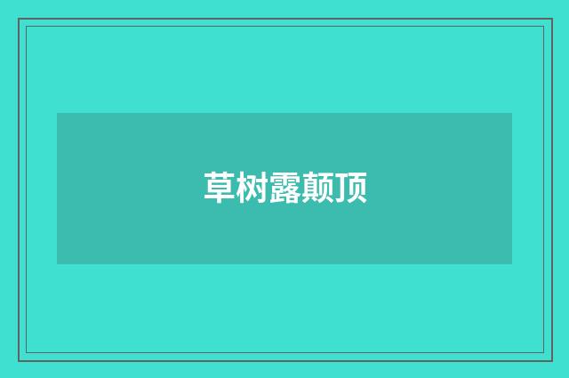 草树露颠顶