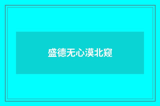 盛德无心漠北窥
