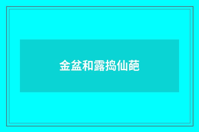 金盆和露捣仙葩