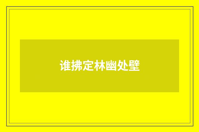 谁拂定林幽处壁