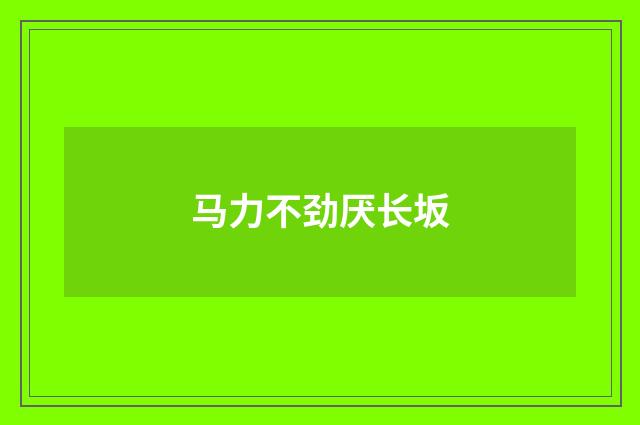 马力不劲厌长坂