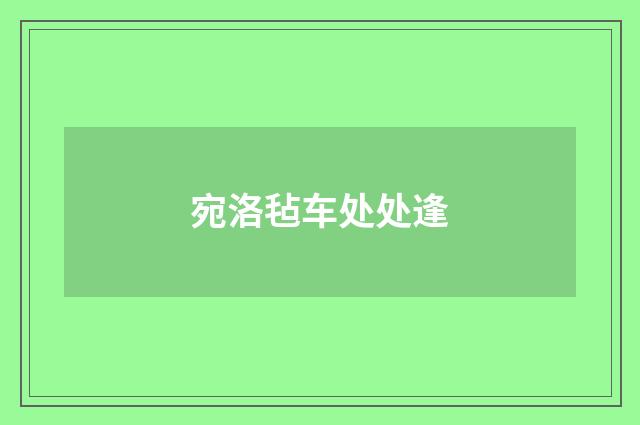 宛洛毡车处处逢