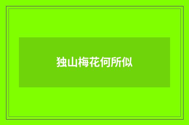 独山梅花何所似