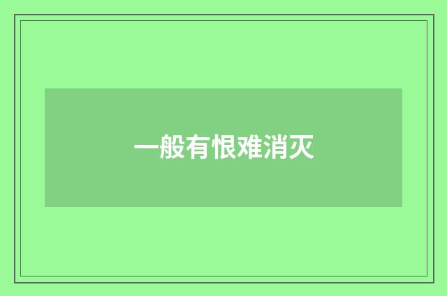 一般有恨难消灭