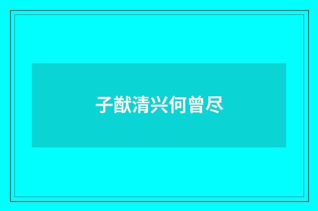 子猷清兴何曾尽