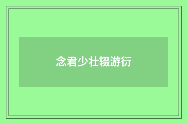 念君少壮辍游衍