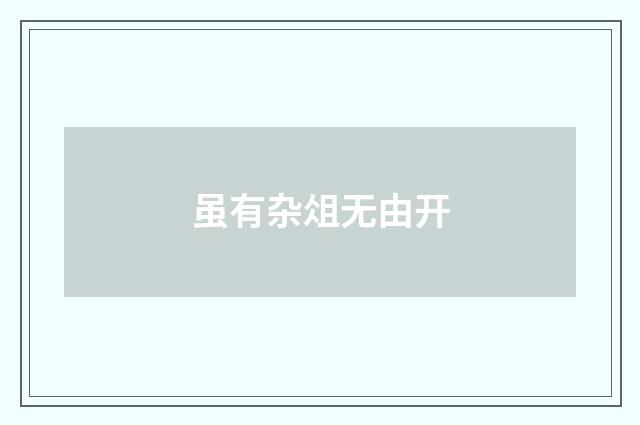 虽有杂俎无由开