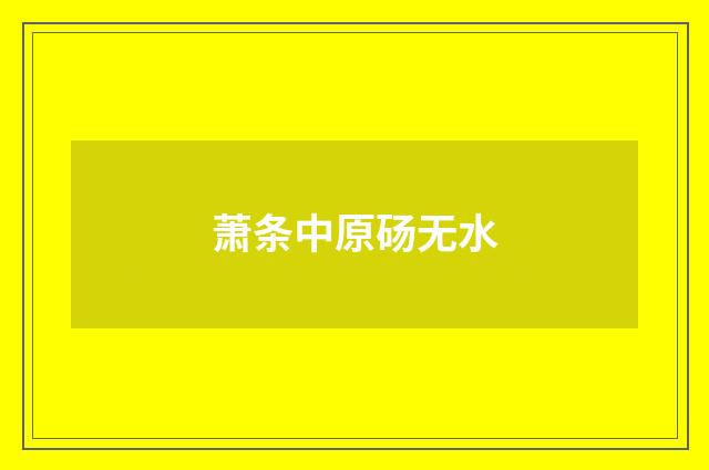 萧条中原砀无水