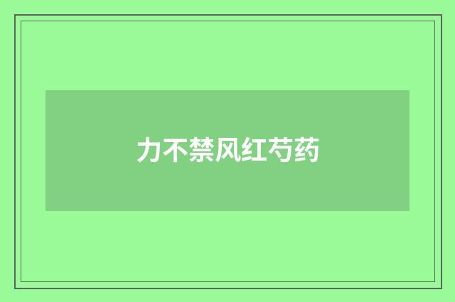 力不禁风红芍药