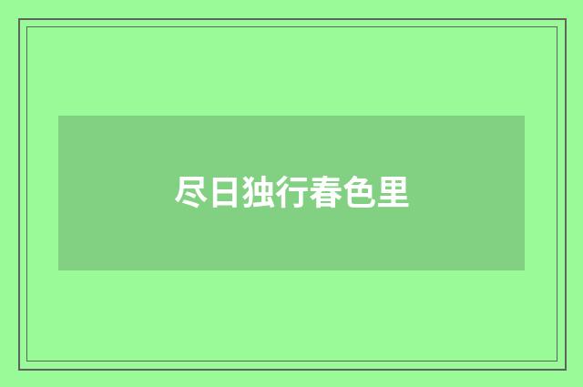 尽日独行春色里