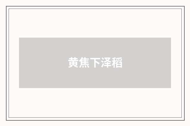 黄焦下泽稻