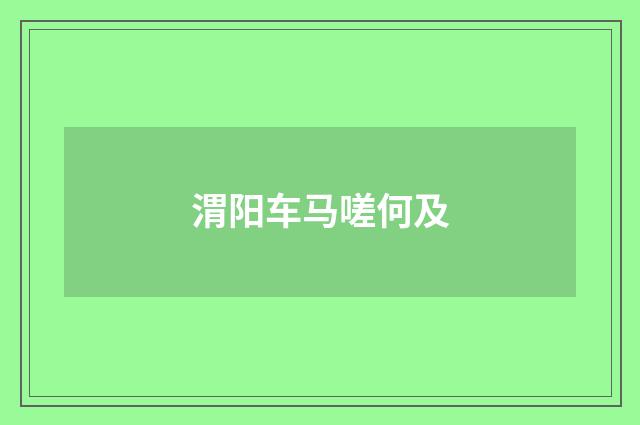 渭阳车马嗟何及