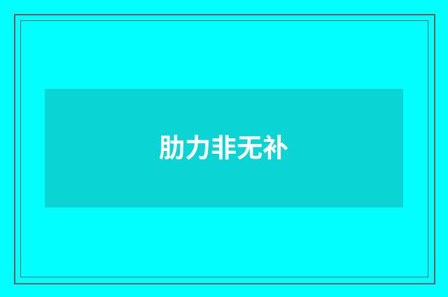 肋力非无补