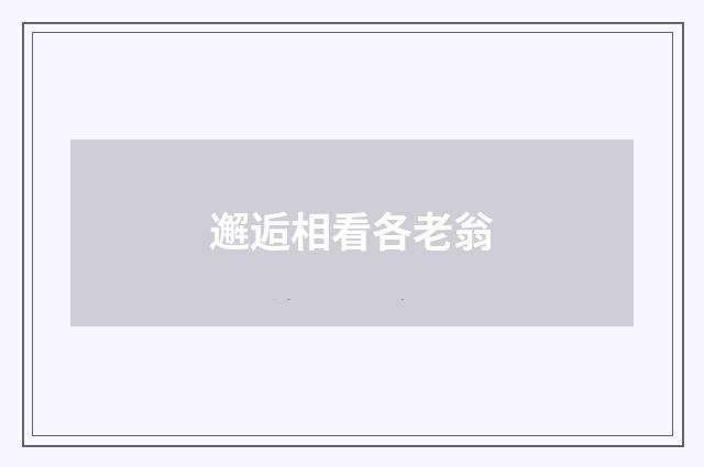 邂逅相看各老翁