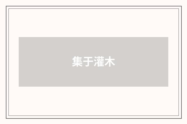 集于灌木