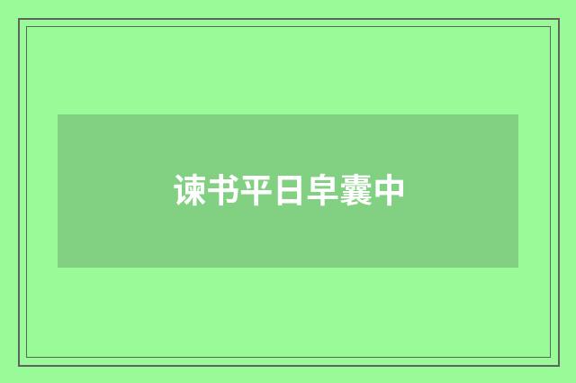 谏书平日皁囊中