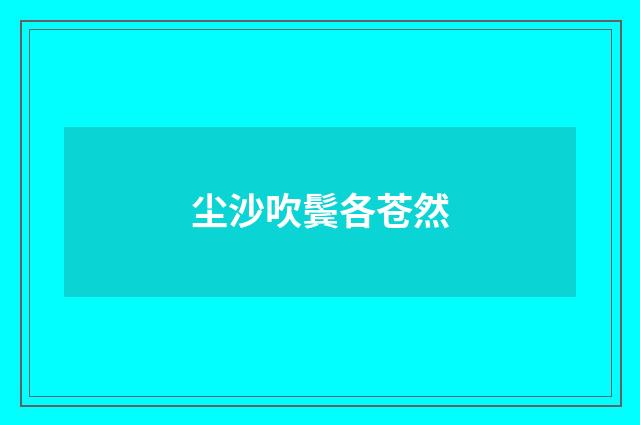 尘沙吹鬓各苍然