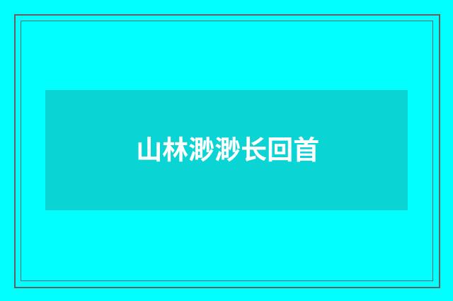 山林渺渺长回首