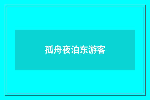 孤舟夜泊东游客