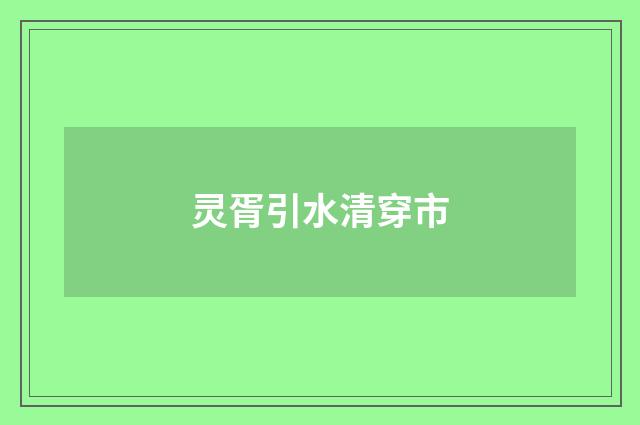 灵胥引水清穿市