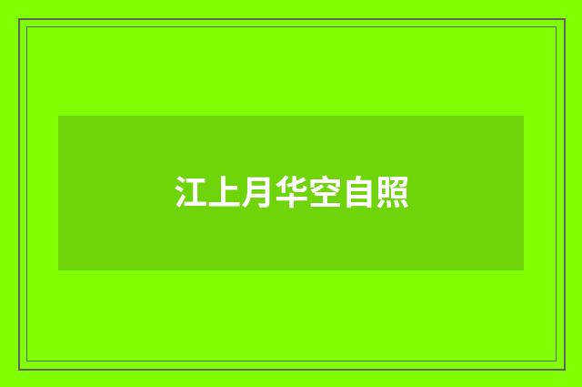 江上月华空自照