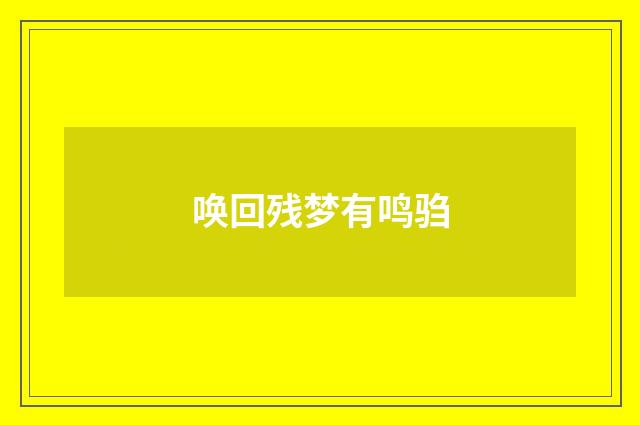唤回残梦有鸣驺
