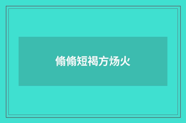 翛翛短褐方炀火