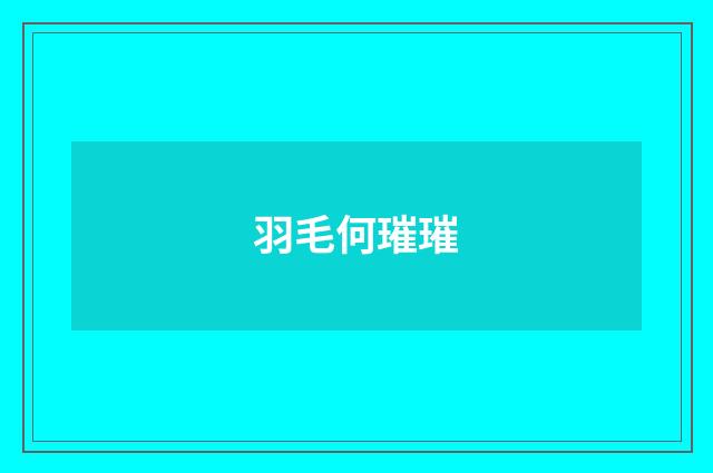 羽毛何璀璀